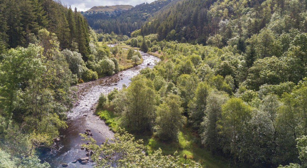 Hafod Estate, United Kingdom